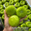 Juguete antiestrés con forma de fruta verde juguete sensorial de rebote lento para niños - Kiwi