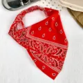 Retro rojo paisley triangulo cinta pelo elastica antideslizante calle chica accesorio - Rojo