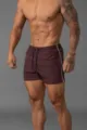 Atmungsaktive Herren Sport- und Fitnessshorts mit Kordelzug und seitlichem Streifendesign. - Kastanienbraun uni