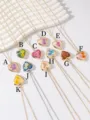 Collection of handmade heart locket necklaces with various colorful dried flowers - Mixed Dried Flower (C)