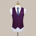 Men's slim fit solid color suit vest formal business waistcoat paired with white shirt - S / Fuschia