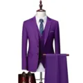 Ανδρικό Μωβ Κοστούμι 3 Τεμαχίων Slim Fit Γάμος Επαγγελματικό Casual Blazer Γιλέκο - Μωβ