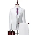 Ανδρικό λευκό 3-τεμάχιο slim fit κοστούμι επαγγελματικό γάμο επίσημο σετ σακάκι γιλέκο. - Μέγεθος ΗΠΑ/ΕΕ M / Λευκό