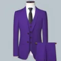 Men's purple 3-piece suit set with jacket, vest, and trousers for formal wedding wear. - M / Top And Bottom (ABC2901-3PCS) / Purple