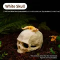 Cachette de crâne en PVC blanc pour terrariums de reptiles et aquariums, 12cm - Blanc