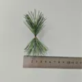 Artificial green plastic pine needles for Christmas DIY crafts and tree decoration - Double Head Length 10cm Diameter 5cm