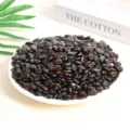 Dark polished natural crystal gravel for aromatherapy displayed in a white plate - Garnet / 7-9mm (100g)