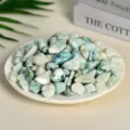Polished natural light green and white crystal stones in a white plate for home decor - Chrysocolla / 9-12mm (100g)