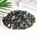 Natural polished labradorite crystal chips with brilliant blue flash for home decor - Labradorite / 9-12mm (100g)