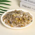 Natural polished citrine crystal chips presented on a white ceramic plate for decor - 3-5mm/500g / Gold Rutilated Quartz