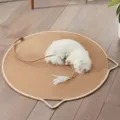 Tapis de griffoir rond pour chat avec design d'oreilles et jouet en plume pour un sommeil confortable. - Taille S - 40*40CM / Style corde de coton * café clair [Avec petit jouet inclus]