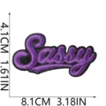 Parche de bordado de poliéster retro con diseño de letras Sassy, tamaño 8.1x4.1cm para chaqueta. - Estilo Letra Sassy (C28SD-12-03)