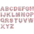 Toppe ricamate con alfabeto a fiori rosa, simpatici badge decorativi in tessuto per vestiti. - C13SH-182-YT set da 26