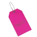 Etichetta per valigia in pelle PU rosa con passante metallico e design aereo per viaggi. - Rosso rosa