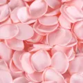 Soft pink silk artificial rose petals for wedding and Valentine's Day decorations - 300 Pcs / Pink