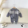 Baby knitted cardigan and pants set with stripe design, cozy two-piece outfit for infants. - 73cm / Set / Gray