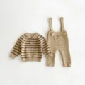 Cute baby knitted sweater and overall pants two-piece set, autumn striped infant clothing. - 66cm / Khaki