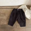 Cute vintage style corduroy baby pants, soft fabric with comfortable elastic waist for kids. - 66cm / Pants / Gray