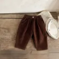 Infant baby corduroy long pants retro style cute casual toddler trousers spring new - 66cm / Pants / Brown