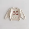 Close-up detail of cute rabbit embroidery on soft baby knit sweater, cozy texture. - 66 / Beige Apricot