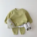 Cozy baby waffle knit sweatshirt and pants set with cute hat and shoes for autumn. - 73cm / Green