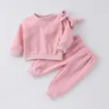 Cute pink toddler sweatshirt and sweatpants set with a small dinosaur toy, casual wear. - 73cm / Top And Bottom / Pink