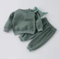 Baby toddler long sleeve sweatshirt and sweatpants clothing set green casual two-piece outfit - 73cm / Top And Bottom / Green
