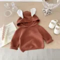 Infant baby knitted sweater with cute rabbit ears hood, comfortable long sleeve pullover top. - 66cm / Tops / Brown