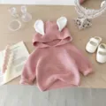 Infant pink knit sweater with bunny ears hoodie cute baby autumn top soft toddler pullover - 66cm / Tops / Pink
