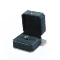 Dunkelgrüne Samt Schatulle achteckige Schmuckschachtel für Ringe Aufbewahrung Geschenk. - Ringbox / Biberstoff / Marineblau