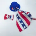 Set 3 pezzi abito oca da portico 4 luglio cappello papillon bandana patriottica per decorazioni - Set 3 pezzi cappello, farfallino e sciarpa (Stella grande)