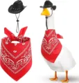 Detailed view of porch goose costume set with black cowboy hat and red paisley bandana. - Black Korean Velvet and Red Scarf Set