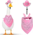 Set cappello da cowboy rosa e bandana cachemire per oca da veranda, dettagli carini. - Set Corona Rosa