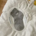 Chaussettes courtes grises à volants pour femmes, broderie de nœud douce, coton respirant fin. - Taille unique / Gris Foncé (1 Paire)