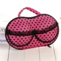 Pink polka dot EVA bra storage box portable travel underwear organizer case with handle - Black Dots on Rose Red Background with Mesh