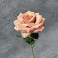 Elegant single peach artificial velvet rose stem for wedding and home decoration - Diamond Rose (Diamond Style) / Dark Coffee