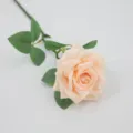 Elegant single champagne velvet artificial rose for home and wedding decorations - Chinese Rose / Champagne