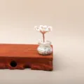 Mini handgeweven geluksboom met natuurlijke witte kristalchips in een glazen pot - Wit Turkoois - Boom van Wijsheid (18 Stuks Mini Geluksboom)