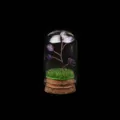 Handgemaakte mini amethist kristalboom in glazen koepel met kurken voet decor - Amethist Landschap Splitboom