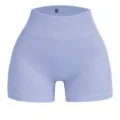 Damen nahtlose gerippte Fitness Shorts hohe Taille atmungsaktive Sport Yoga Sporthose - 2308 Lila (Dezente Töne) / Größe L 57 Kg - 635 Kg