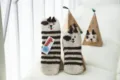 Japanische Korallenfleece-Bodensocken mit dicker 3D-Cartoon-Stickerei im Geschenkkarton. - Erwachsene / Ohne Box / Braun gestreifter Hund