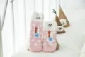 Japanische Korallenfleece-Bodensocken verdickte 3D-Cartoon-Welpenstickerei kuschelige Geschenke - Erwachsene / Ohne Box / Rosa Schwein