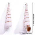 Colgante concha acrílica accesorio joyería DIY con dimensiones claras para manualidades. - Colgante Caracola Largo Grande (A9-091)