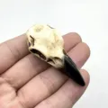 Gothic resin crow skull pendant necklace vintage bird skeleton jewelry accessory charm - Crow Skull Pendant (2) / Antique White & Black (2)