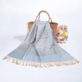 Elegant light blue paisley jacquard pashmina scarf with stylish fringe tassel detail. - Light Blue (TH29)