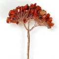 Détail des pierres de jaspe rouge et du fil de cuivre sur un arbre de cristal fait à la main. - Jaspe Rouge