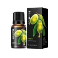 Hankey Oliven Ätherisches Öl 10ml in einer professionellen Flasche und Verpackungsbox - Olive / 10ml
