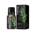 Natürliches Rosmarin-ätherisches Öl 10ml Flasche mit schwarzer Geschenkverpackung - Rosmarin / 10ml
