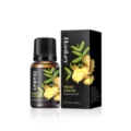 Frisches Ingwer ätherisches Öl 10ml in Glasflasche mit schwarzer Verpackungsbox - Ingwer / 10ml