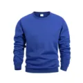 Felpa classica blu tinta unita girocollo manica lunga sportswear top vista dettaglio - Blu Foderato in Pile